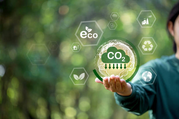 istock Developing sustainable CO2 concepts and low reduce CO2 emissions and carbon footprint to limit global warming and climate change. sustainable environmental management, Greenhouse from renewable energy 1493965391