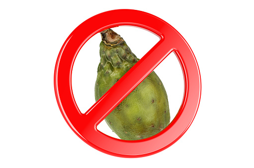 Cactus pear with forbidden sign, 3D rendering isolated on white background