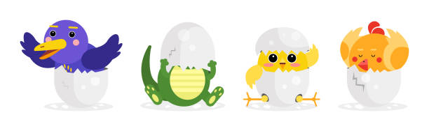 illustrazioni stock, clip art, cartoni animati e icone di tendenza di chick and reptile hatching from cracked egg shell vector set - animal egg chicken new cracked