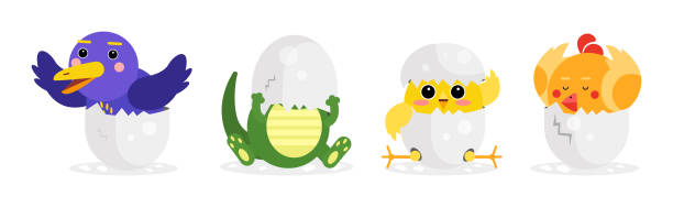 병아리와 파충류 부화는 금이 간 달걀 껍질 벡터 세트에서 - animal egg chicken new cracked stock illustrations