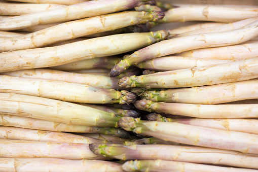 France: Fresh White Asparagus at Market (Close-Up Full Frame)