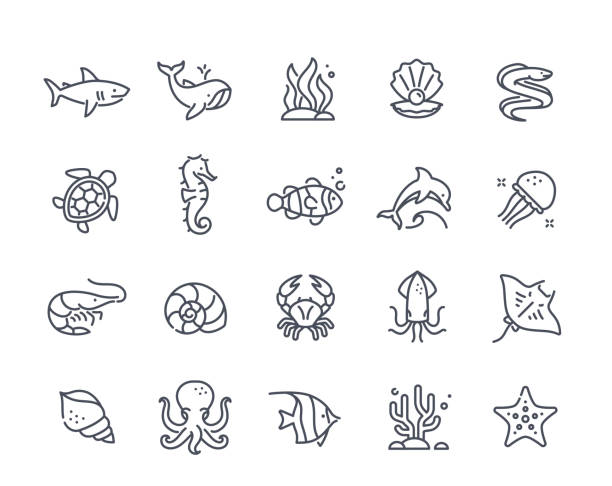 Sea inhabitants icons Sea inhabitants icons. Black and white set with fish, shark, squid, octopus, whale, jellyfish and turtle. Line art stickers with seafood. Linear flat vector collection isolated on white background instant print black and white stock illustrations