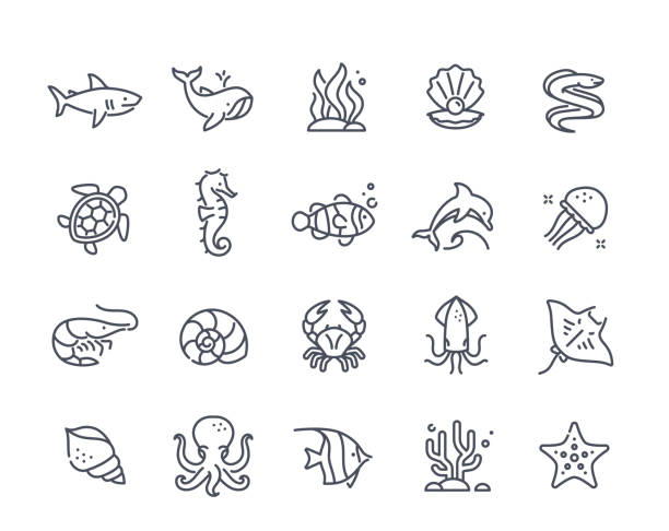 Sea inhabitants icons Sea inhabitants icons. Black and white set with fish, shark, squid, octopus, whale, jellyfish and turtle. Line art stickers with seafood. Linear flat vector collection isolated on white background arthropod stock illustrations