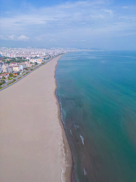 istock top view of coast and beach 1493977716