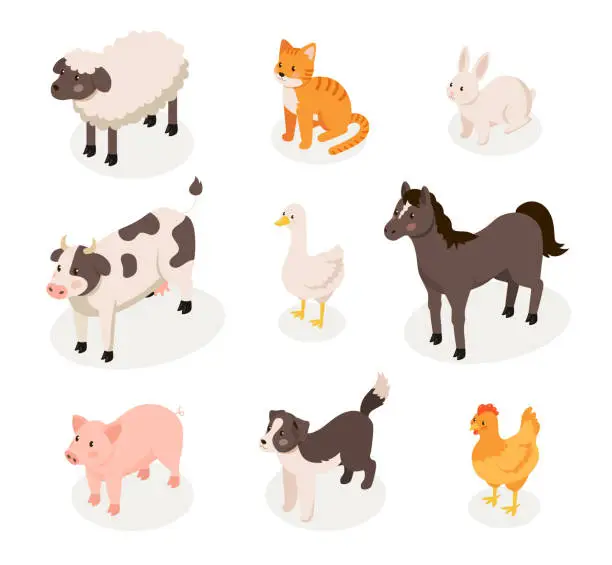 Vector illustration of Isometric farm animals set