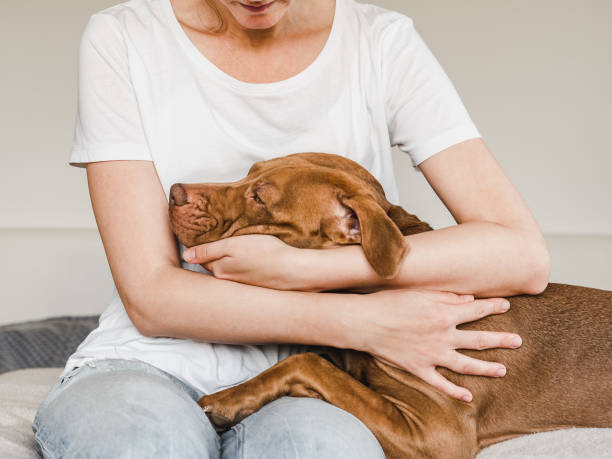 istock Young woman hugging a cute dog. Sunny day 1493979928
