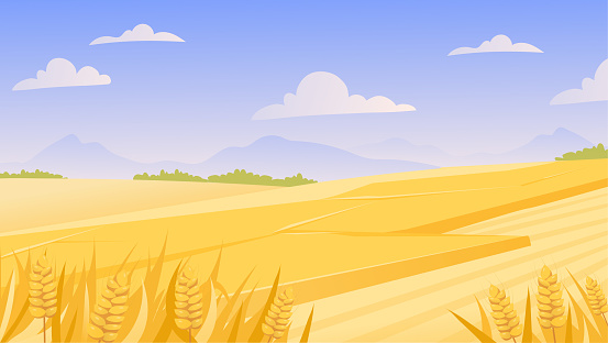 Field landscape concept. Countryside and agriculture. Beautiful natural panorama with yellow stripes. Symbol of summer and spring time of year. Cartoon flat vector illustration