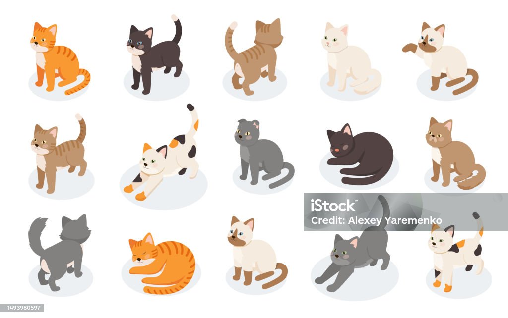 Isometric Cat Drawing Tutorial Isometric Cats Set Stock Illustration - Download Image Now - Domestic ...