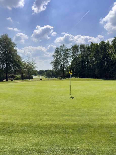 istock Flag and the hole at golf club blue sky summers day with some clouds 1493983138