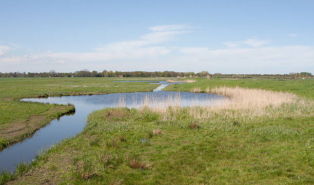 istock Kolk in a Dutch polder 149398417