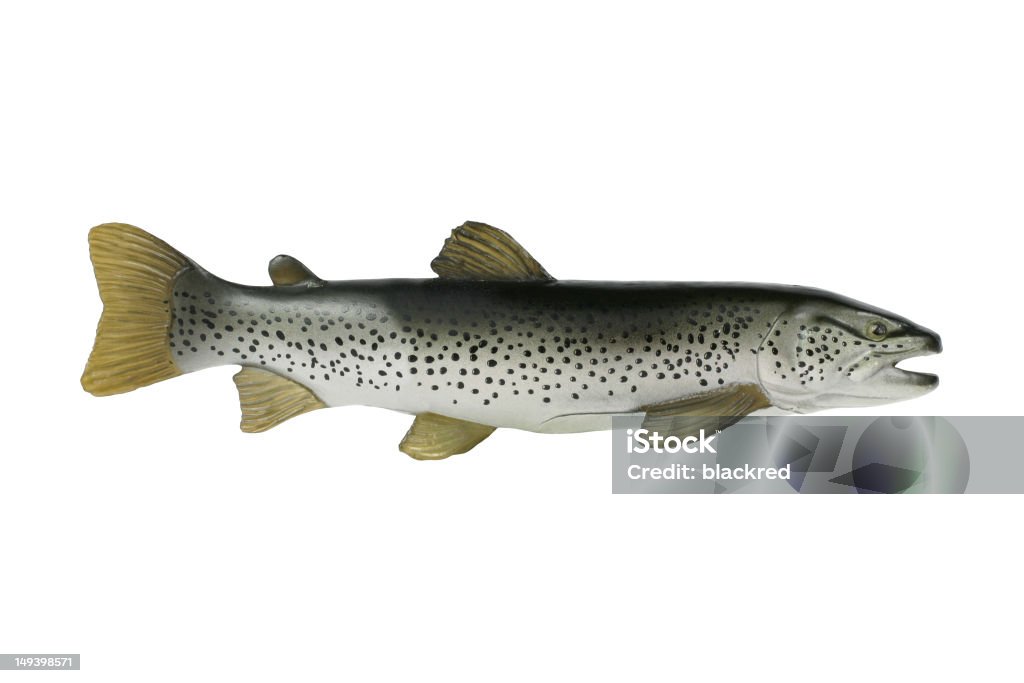 Plastic Fish Plastic fish in isolated white background. Clipping path included. Fish Stock Photo