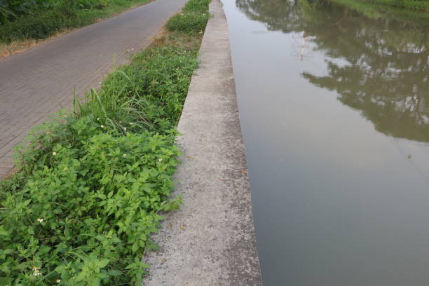 istock Concrete Wall by The River Bush Paving Sidewalk 1493986657