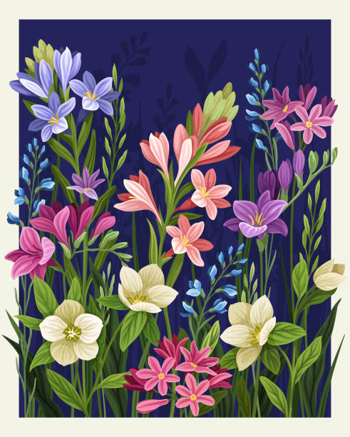 ilustraciones, imágenes clip art, dibujos animados e iconos de stock de impresión botánica en color - gladiolus