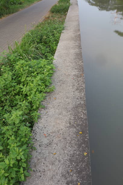 istock Vertical Shot Concrete Wall by The River Bush Paving Sidewalk 1493990427