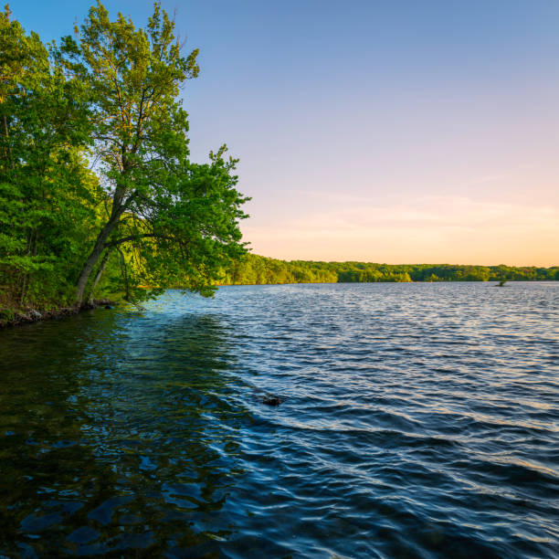 istock Sunset over the lake 1494000227