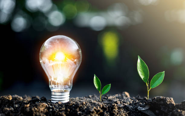 istock Sunlight in the morning with trees and light bulbs on soil. Environmental conservation concept. Save the world. Green energy, renewable. 1494002294