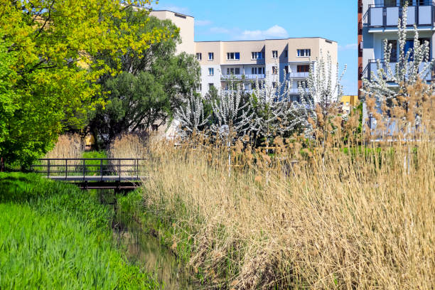 istock Residential estate with park areas 1494004300