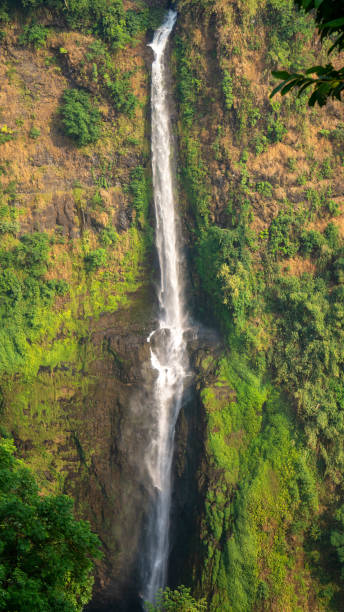 istock Landscape view of Tad Fane waterfall, Pakse loop, Laos 1494006907