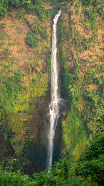 istock Landscape view of Tad Fane waterfall, Pakse loop, Laos 1494012446