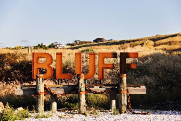 istock Rusty Bluff sign in New Zealand. 1494015051