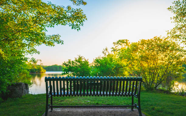 istock Bench in the park at sunset 1494016574