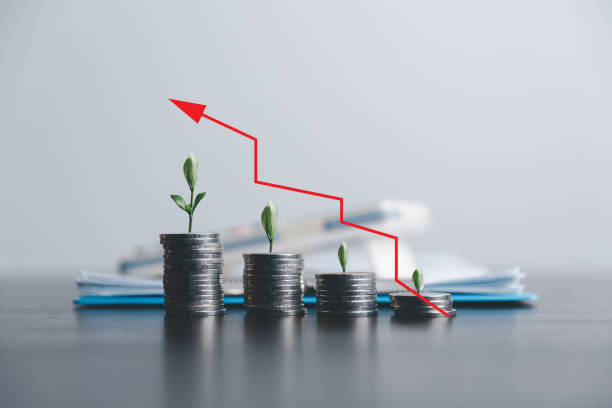 istock Save money, success goals and investment growth concept. Tree growing on stack coins with arrows rising on blur office background. Financial and business, Management money retire, tax. 1494021081