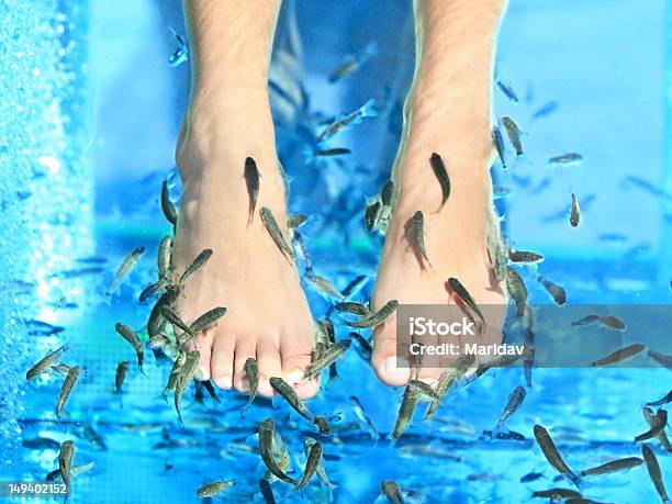 Fish Spa Stock Photo - Download Image Now - Fish, Reddish Log Sucker, Human Foot