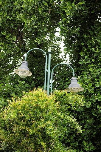 classic style streetlamp surrounded by trees and bushes