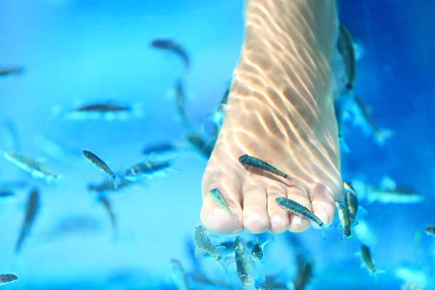 istock A person sinking their foot in to a fish spa 149402166