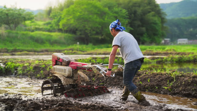 Male farmer using two wheel hand tractor in rice field