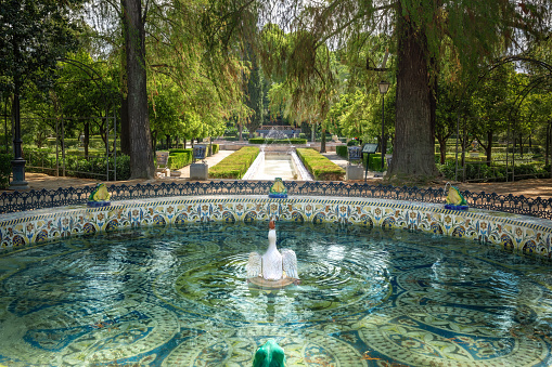 Fuente de las Ranas (Frogs Fountain) at Maria Luisa Park - Seville, Andalusia, Spain