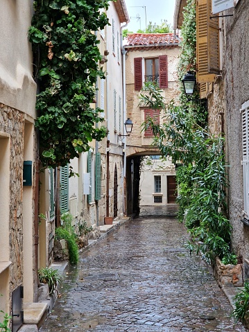 Idyllic wet narrow street with lush green foliage growing on the historic facades - Antibes, France, Europe