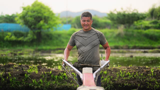 Portrait of male farmer working on rice field with farm truck