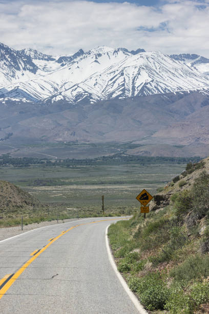 istock Scenic drive with the eastern Sierra Nevadas 1494024993