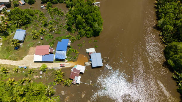 istock Mangroves in Borneo, Malaysia. 1494025754