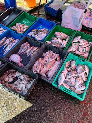 Fish market in Tipaza, Algeria