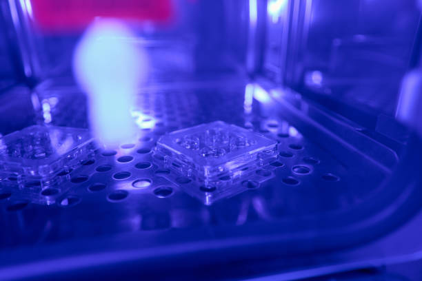 istock Cell culture dishes with female eggs keeping in temporary fridge 1494028615
