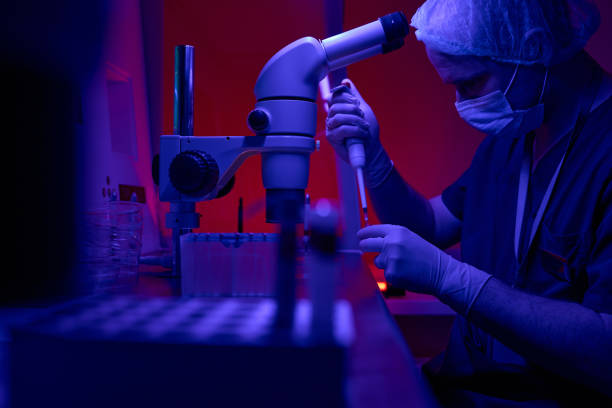 Science laboratory engineer adding cells to test tubes stock photo