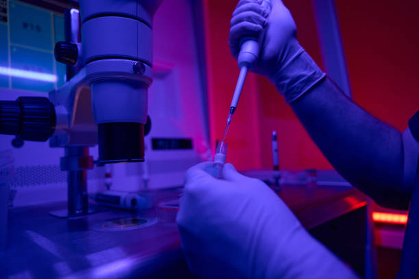 istock Laboratory technician conducting researches with germ cells 1494028648