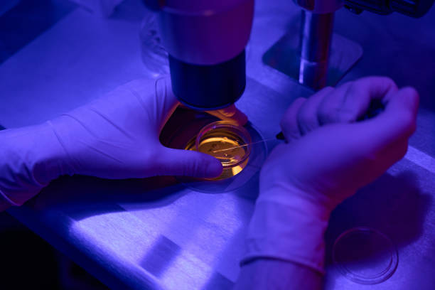 istock Reproductology laboratory worker taking sample from embryos 1494028651