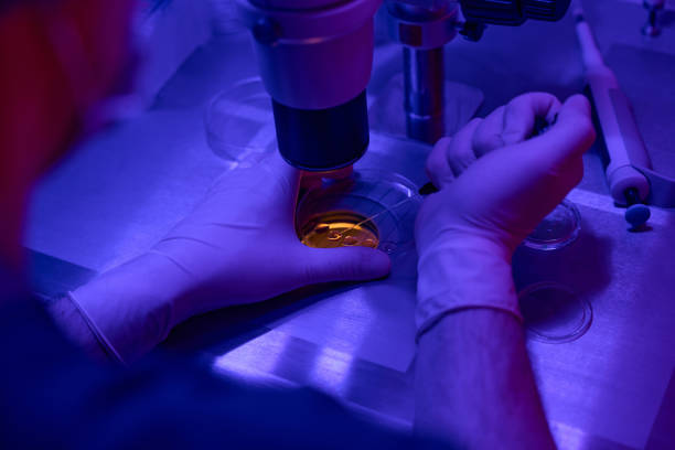 istock Embryologist checking state of embryos in petri dish 1494028672