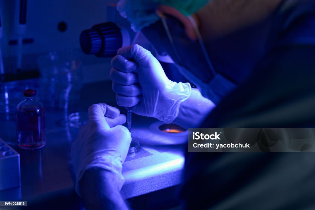 Biological Lab Sample Biological Laboratory Worker Putting Sample On Slide Stock Photo ...