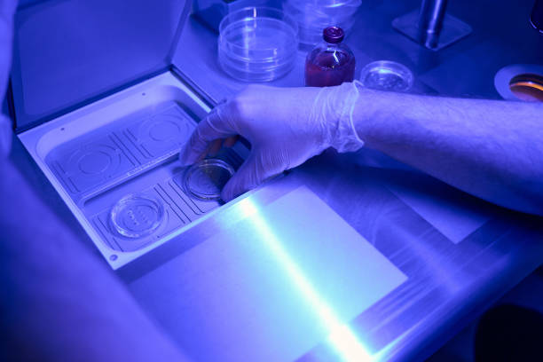 istock Science lab worker completing pre-implantation genetic giagnosis 1494028859