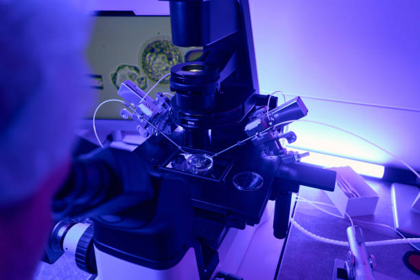 istock Embryologist using micromanipulator for intracytoplasmic sperm injection 1494029080