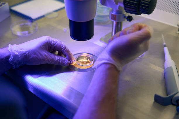 istock Reproductology laboratory technician taking liquid from test tube with pipette 1494029107