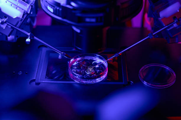 istock Embryologist removing few cells from outer layer of embryo 1494029159