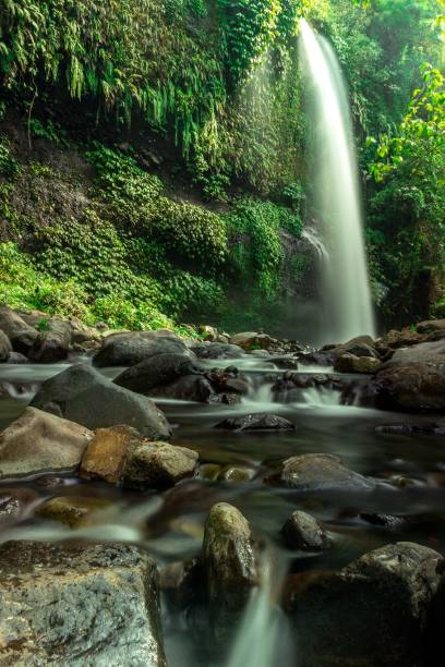 istock Sendang Gile waterfall in Lombok, Indonesia 1494031575