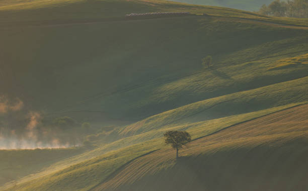 istock Tuscany fields during spring time, Val Dorcia, Italy, 5.05.2023 1494033291