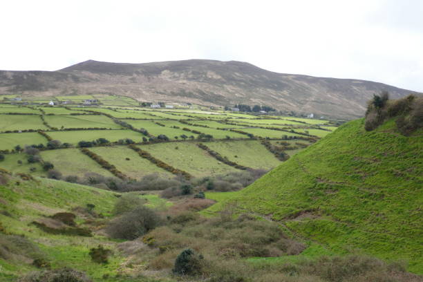 istock Dingle Peninsula, Kerry. Ireland 1494033854