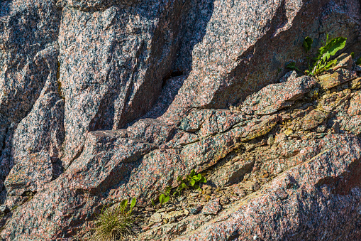 Close-up view of granite mountain with grass shoots on it.
